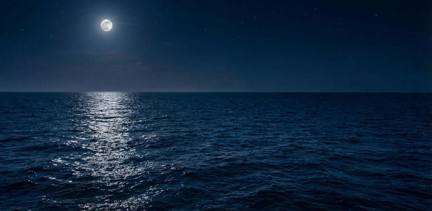 Are Night Fishing Trips Near Orlando Worth Booking?