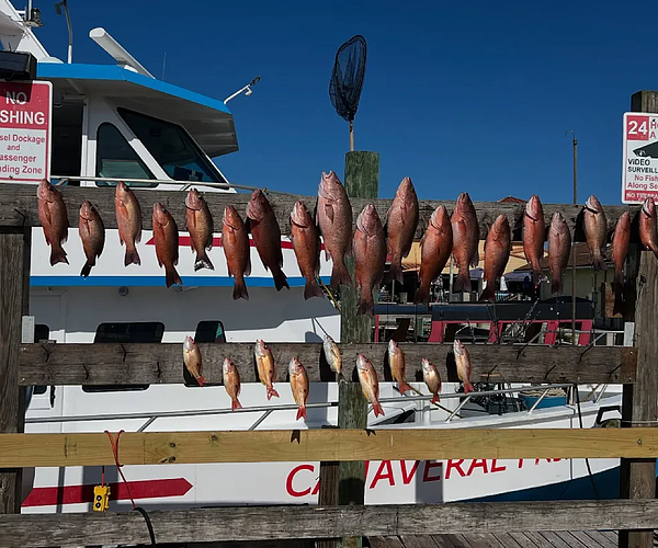 Why Cape Canaveral Fishing is Great Year-Round