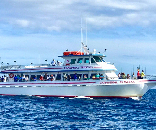 How to Plan a Relaxing Fishing Day in Port Canaveral from Cocoa Beach