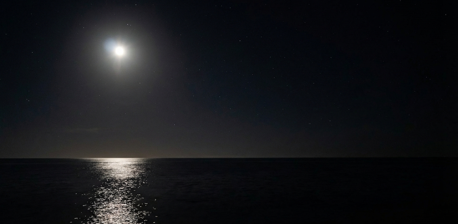 Are Night Fishing Trips in Port Canaveral from Orlando Worth Booking?