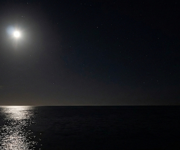 Are Night Fishing Trips in Port Canaveral from Orlando Worth Booking?