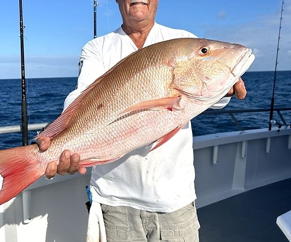 How to Book the Perfect Fishing Trip From Daytona Beach