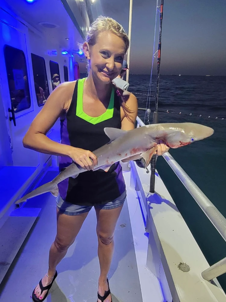 Night Shark 1