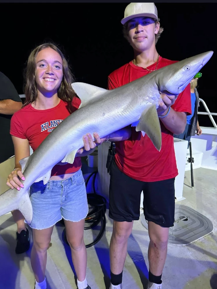 Night Shark 3