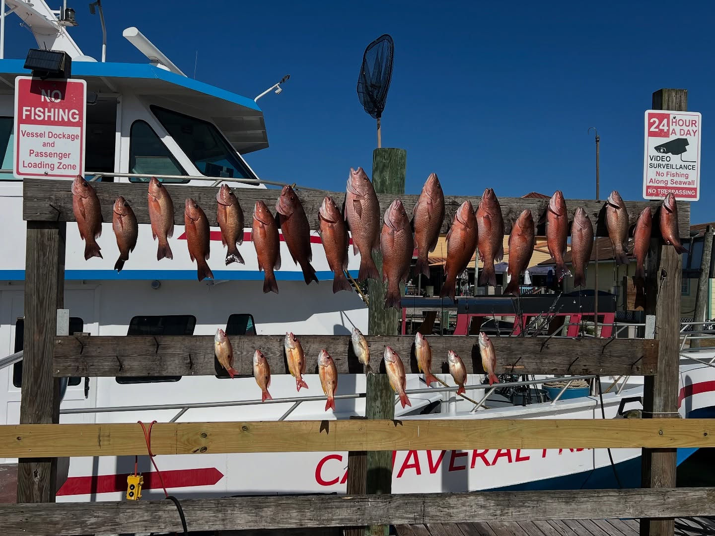 Why Cape Canaveral Fishing is Great Year-Round