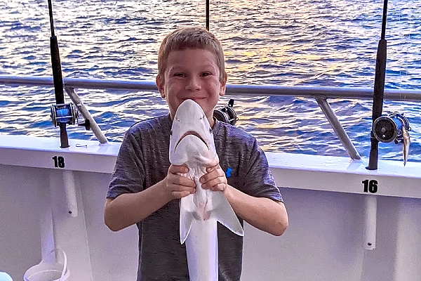 Night Shark Fishing Trips