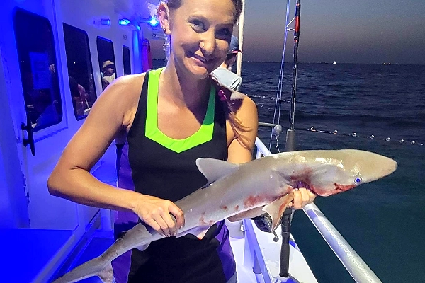 Night Shark Fishing Trips