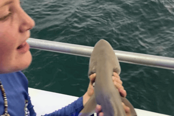 Video for Shark Fishing Page